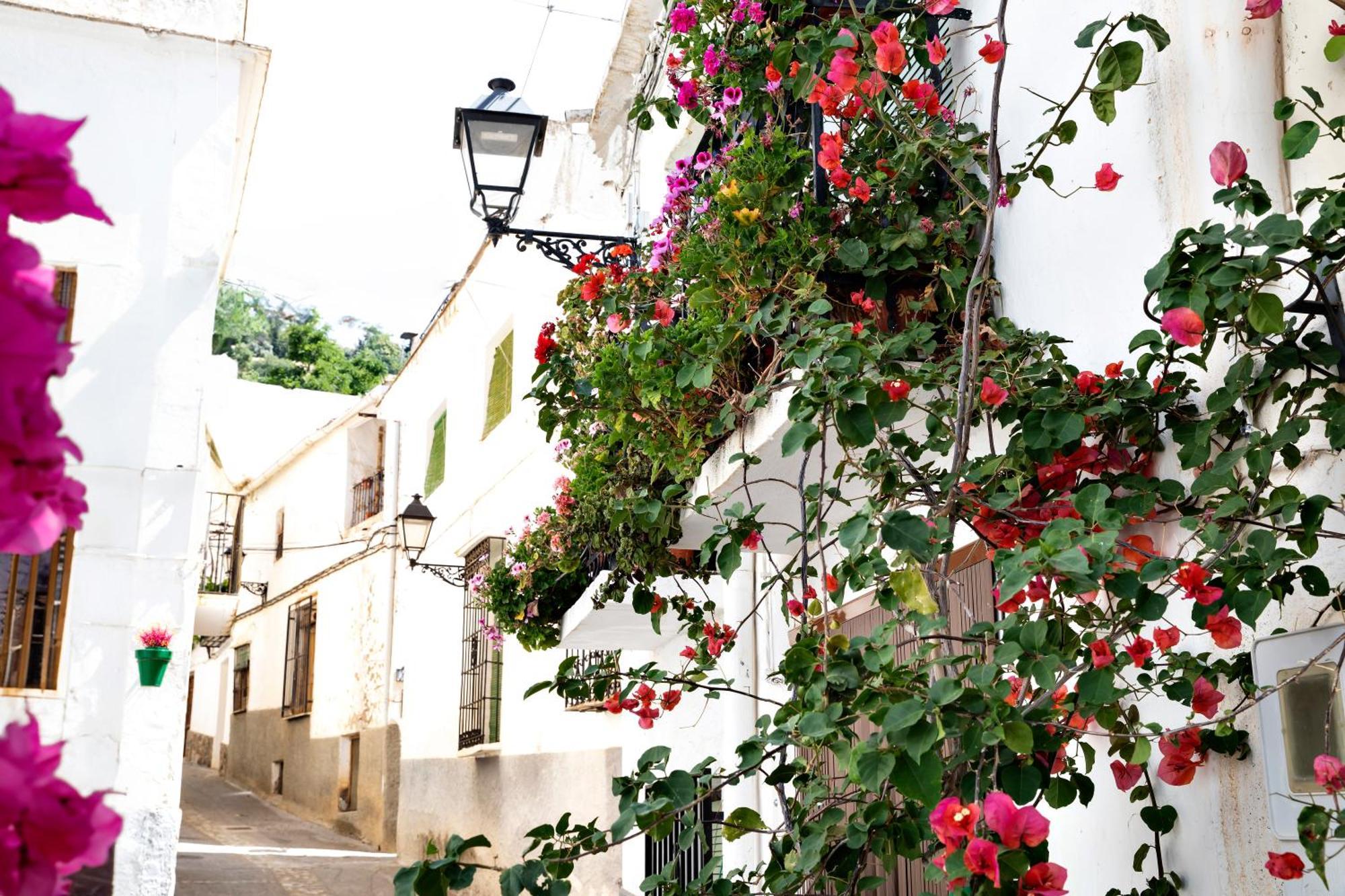 Alpujarra Relax Carataunas Esterno foto